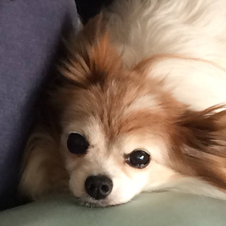 Ad61e028 2046 46b7 9399 66a1565b3f93 1691646019391