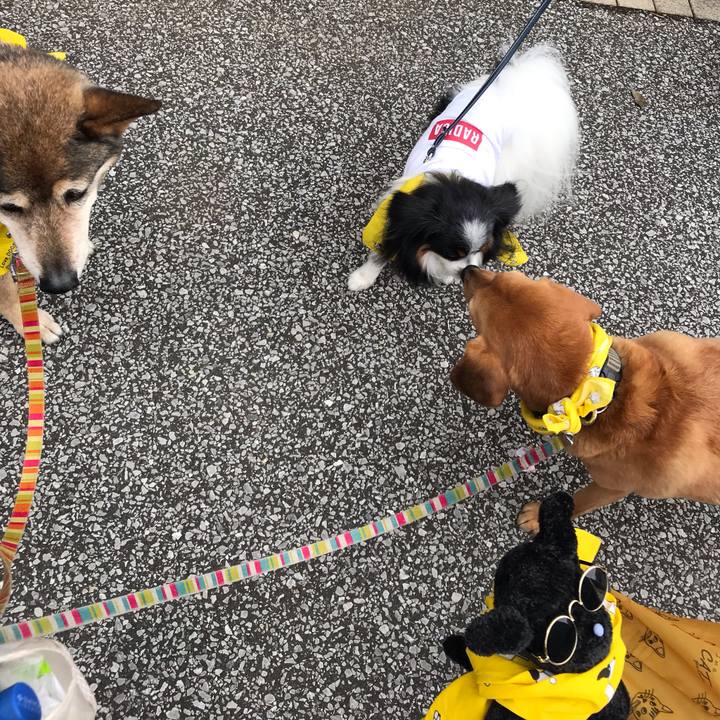 Ad61e2e5 4b73 4843 bd34 cc9b9e9c78e0 1559973776739