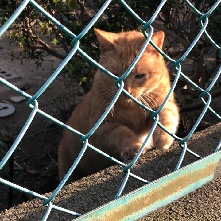 Ad62926a cc0d 4f42 a47a 73f1c5f7b452 1539320875338