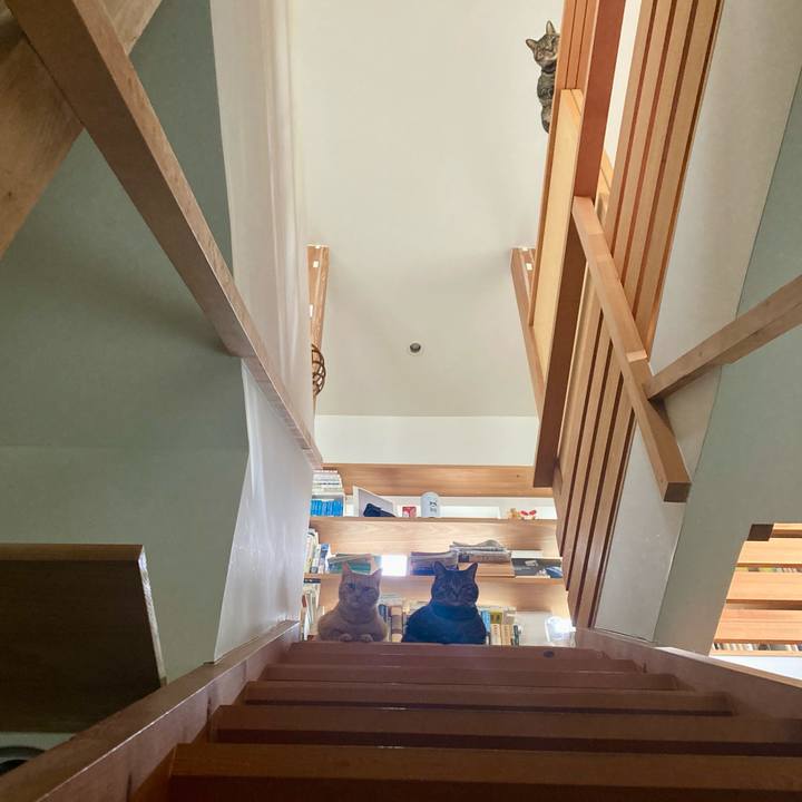 Ad62ad71 2392 45a3 b3db 871873cea9c6 1776466683943