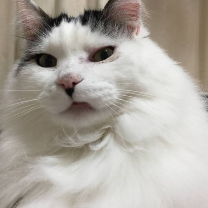 Ad62bb95 e8ca 490a a432 23ee3e0eccc5 1516625044452