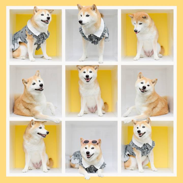 Ad62f699 c102 4251 851c 897676af2bcb 1756618032495