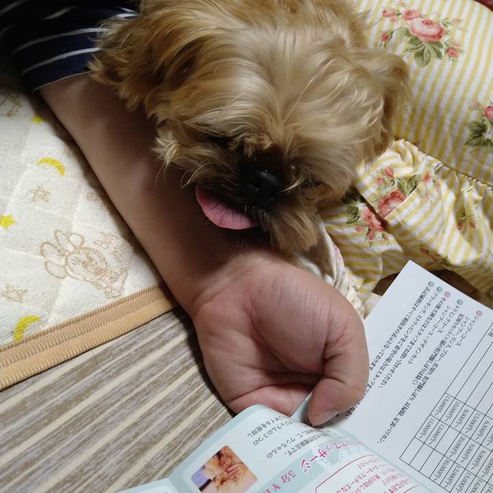 Ad6302fb 3df1 4915 ac46 84cd58311e39 1602112290560