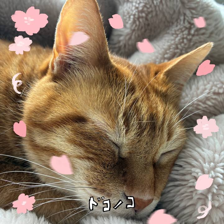 Ad631acc 90f5 4fbd 828e 5426654172a4 1744508295115