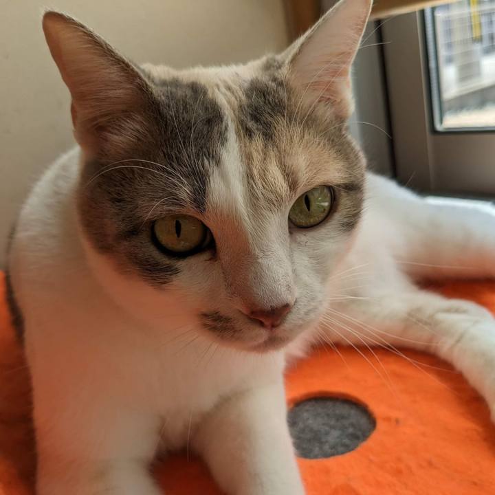 Ad6329b3 c36f 423f a6b3 df983e6e40fd 1687233723616