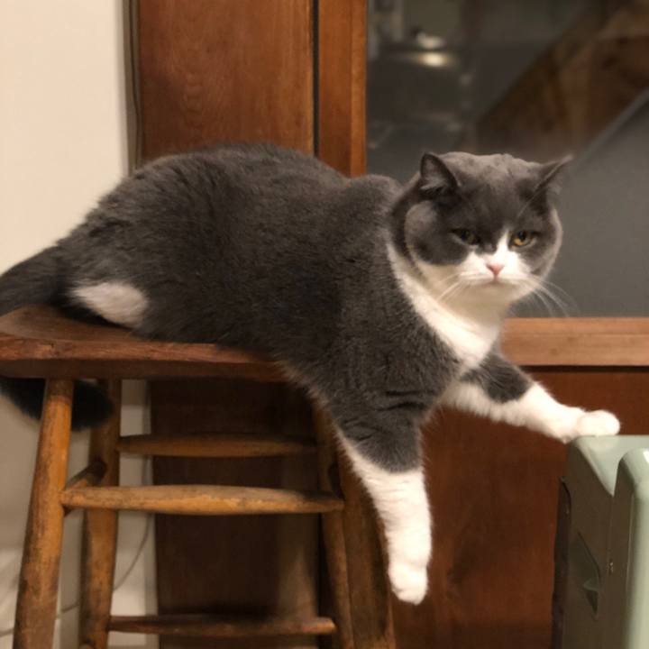 Ad634681 c77f 4ff4 9cdf aa477170d696 1578651145460