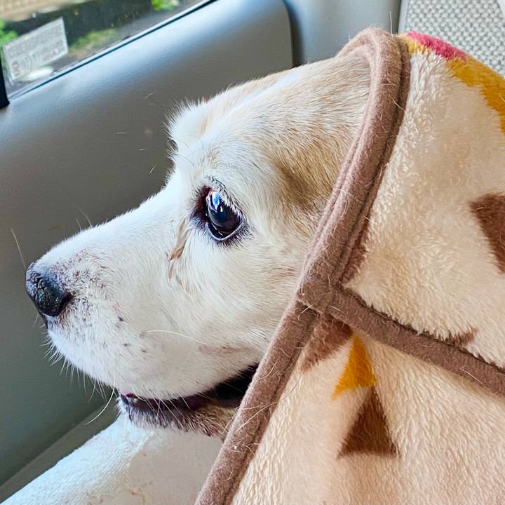 Ad635e5a ee1d 4378 8342 fbbc858ce0fb 1670304543332