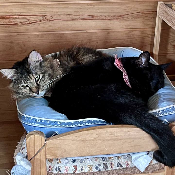 Ad6382db 6a9b 4991 b7ac 74e6d2e6079e 1765865279025