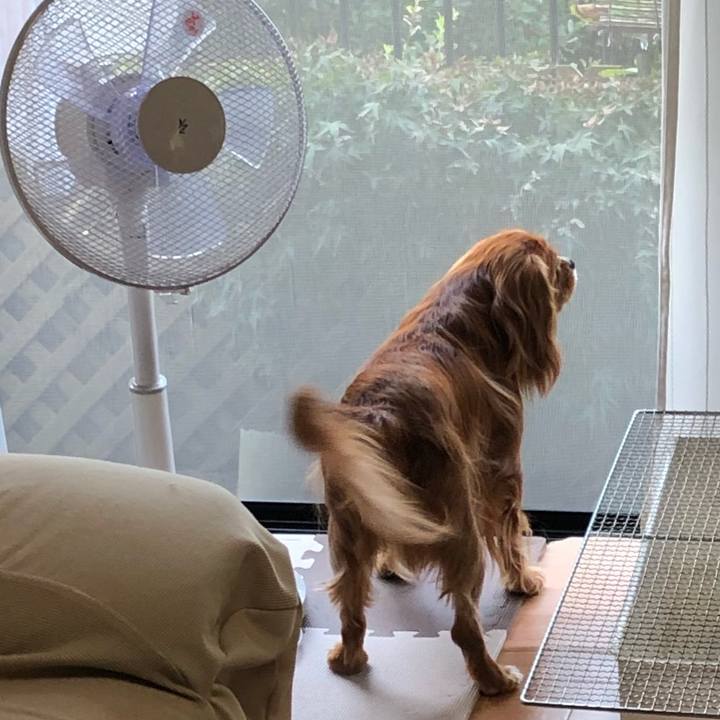 Ad63c02f 5fee 444f 96f5 444dc49e2ed0 1598142327255