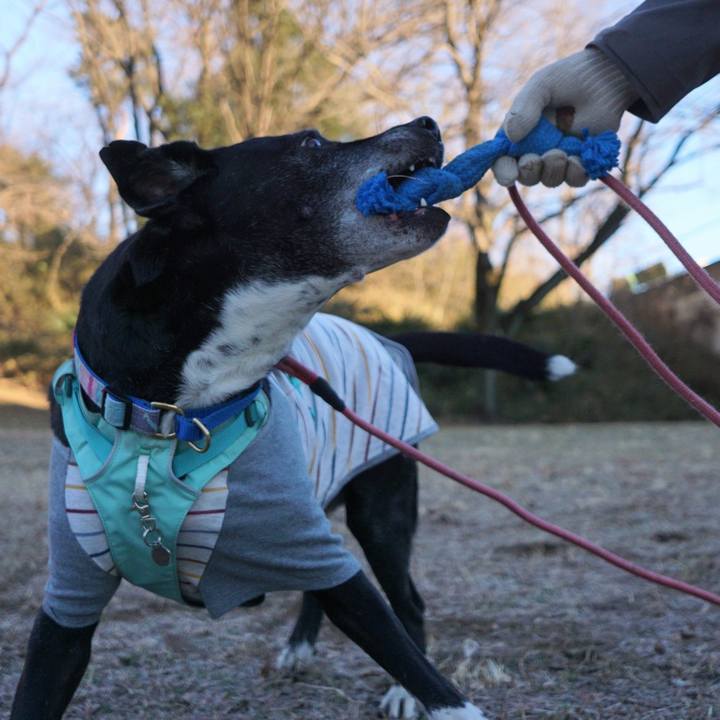 Ad63c77d d9be 4190 af55 51a0ba68959a 1770079164432