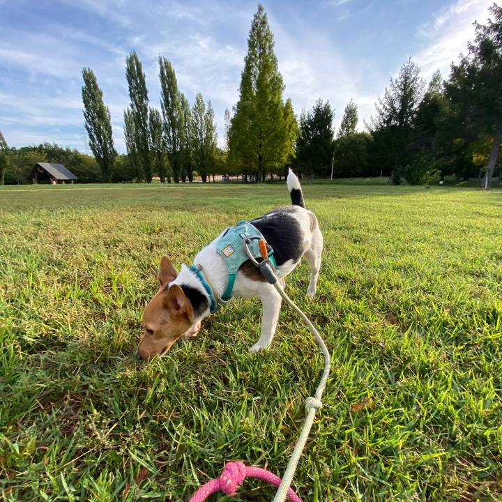 Ad63d991 f785 42a0 bcc8 f020a4cf0d9f 1759020923654