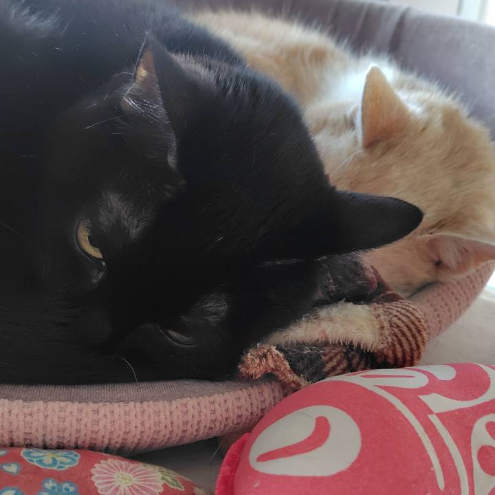 Ad63e052 5c92 4b0c 899a 027d29a9d0b1 1763678640907