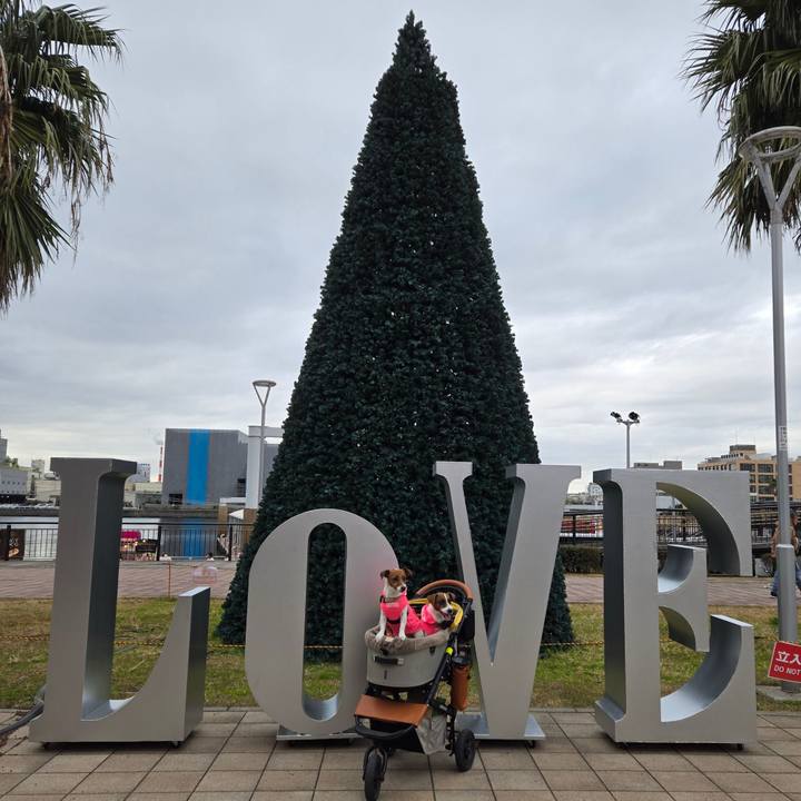 Ad640687 d3c0 42fd bd5b c090f5f9d577 1765628389029