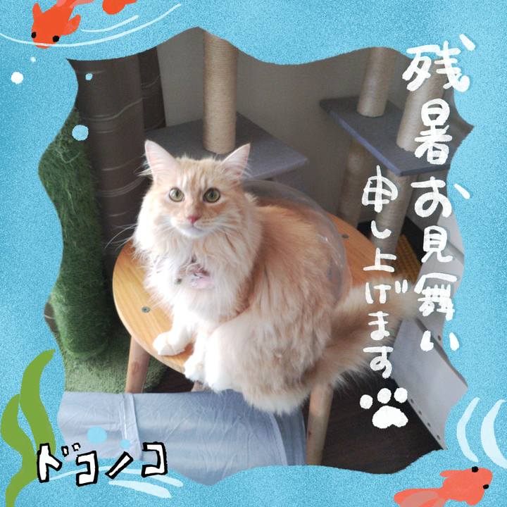 Ad640dc1 df9f 459c a83e b119e95f95a7 1723267806996