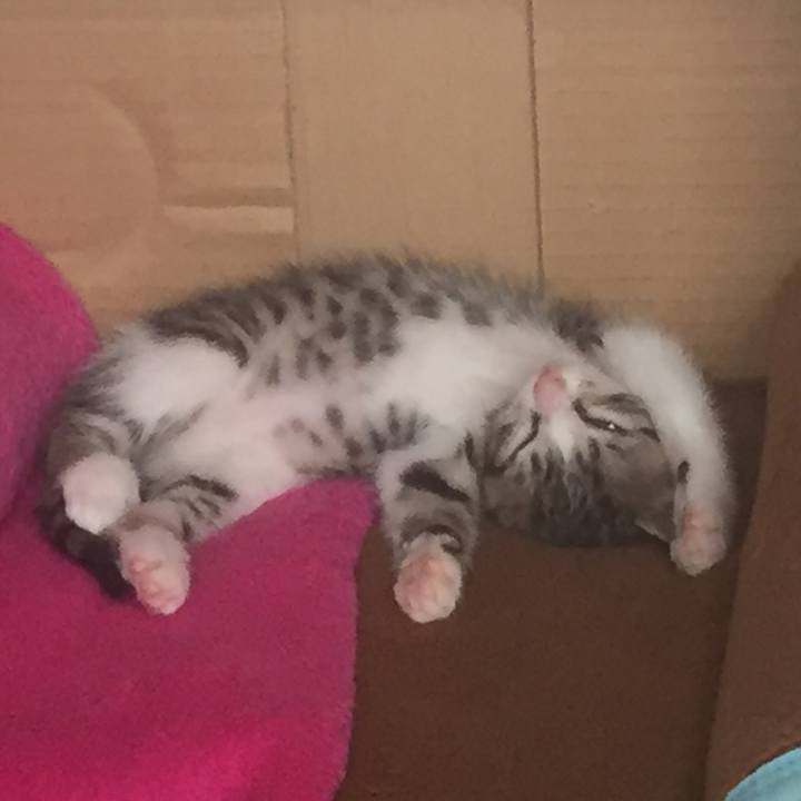 Ad6431c2 e0da 4929 a598 60a2b03d21c0 1651669256660