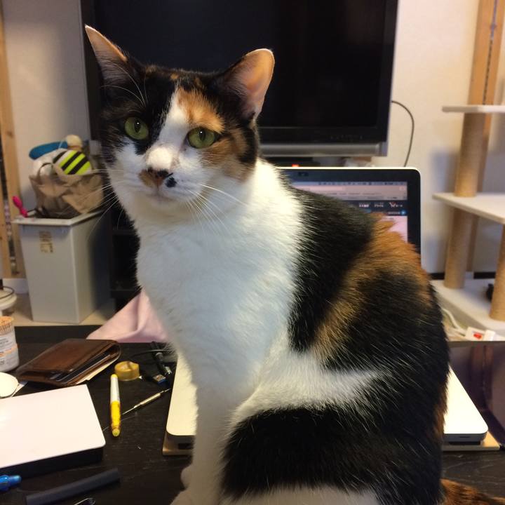 Ad6445f7 2fd3 49b6 87d2 f6d570bcc260 1586680737351