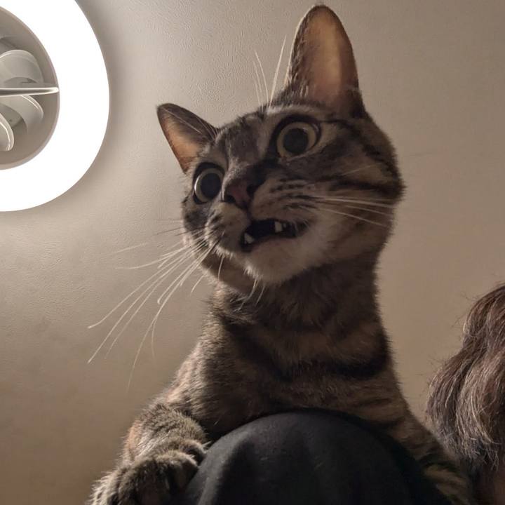 Ad644b32 d1da 4088 8c7a 884e2fd0f546 1733391585602