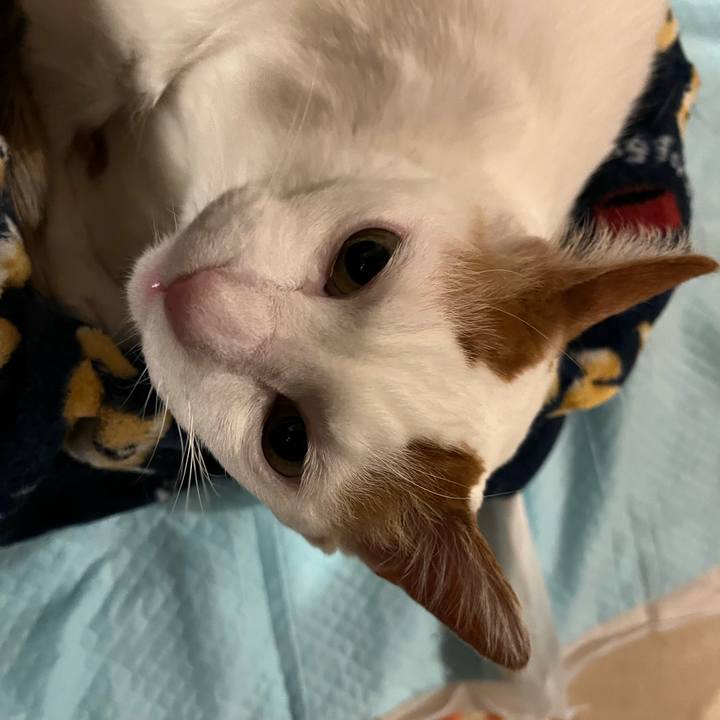 Ad64550c b648 4966 8396 c845f54489a9 1771422515908