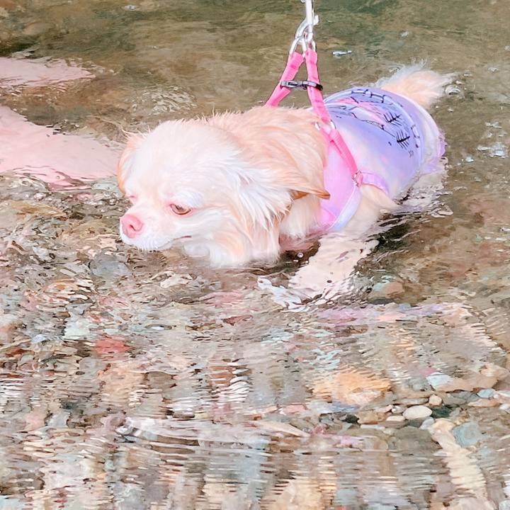 Ad64598f 1f58 454d bb31 d3c326ff9a70 1656248167931