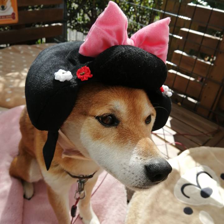 Ad646bf0 dfd9 42c7 8681 28ace1f6119d 1615770120495