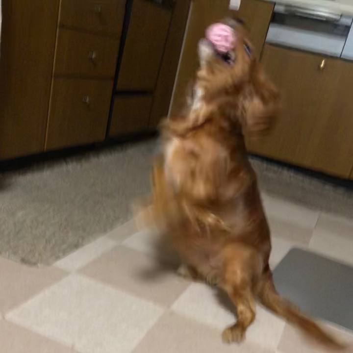 Ad646ea8 df97 4b97 9056 d42fbd9b924f 1564672548893