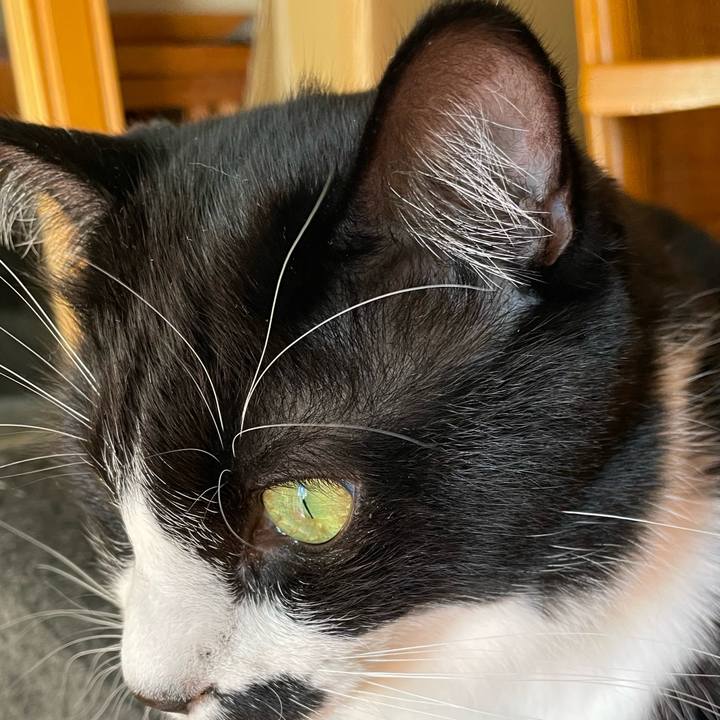 Ad6484c5 ee8c 4e11 83ac 6273f942eb5f 1666224410538