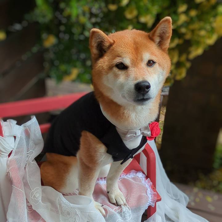 Ad64b077 9430 40ae a8f5 041799ccd85a 1747904023229