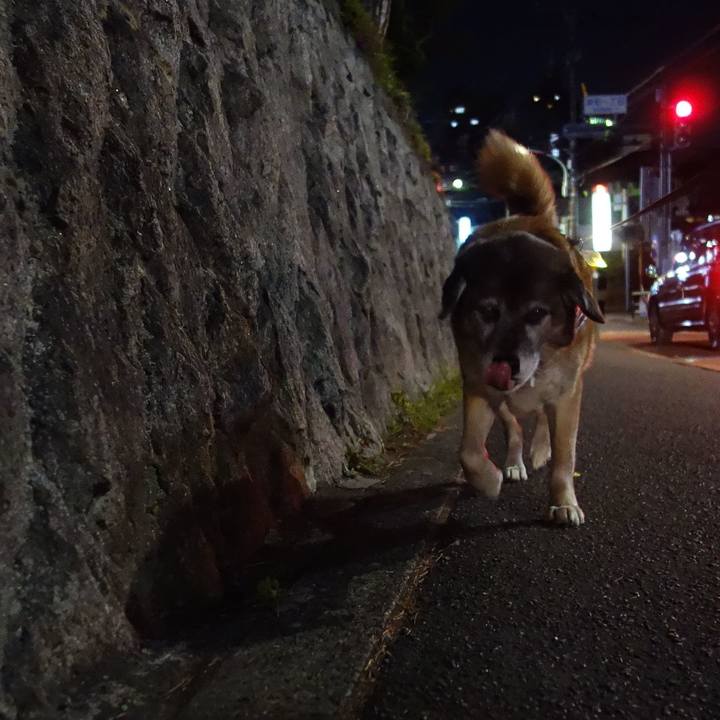 Ad64f749 6388 46fe b29c 413813386e1e 1554375407563