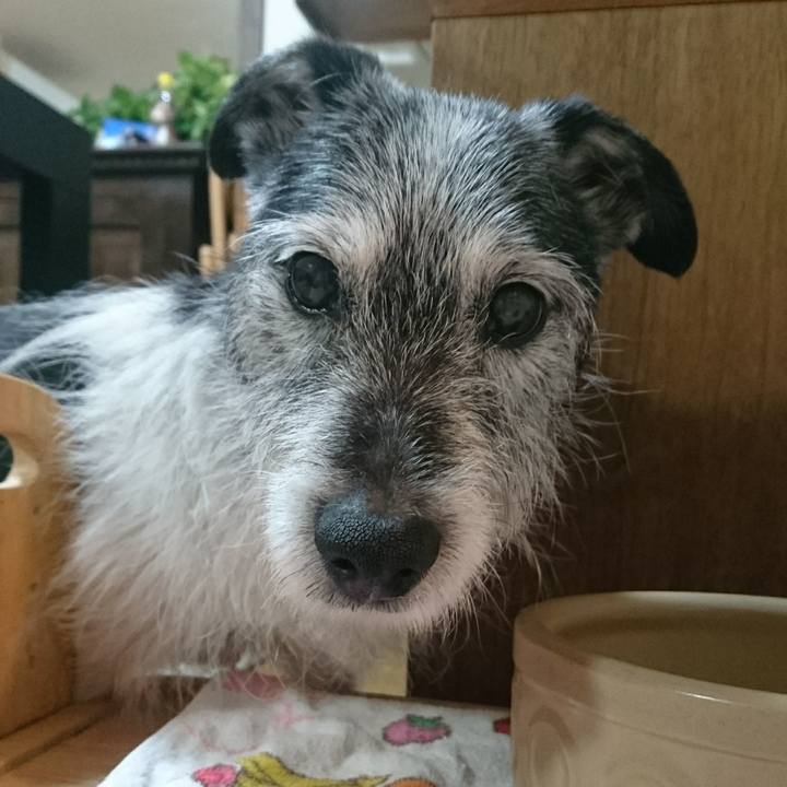 Ad64fa1f 741b 4d4e 9205 059cc8122ee0 1523658558892