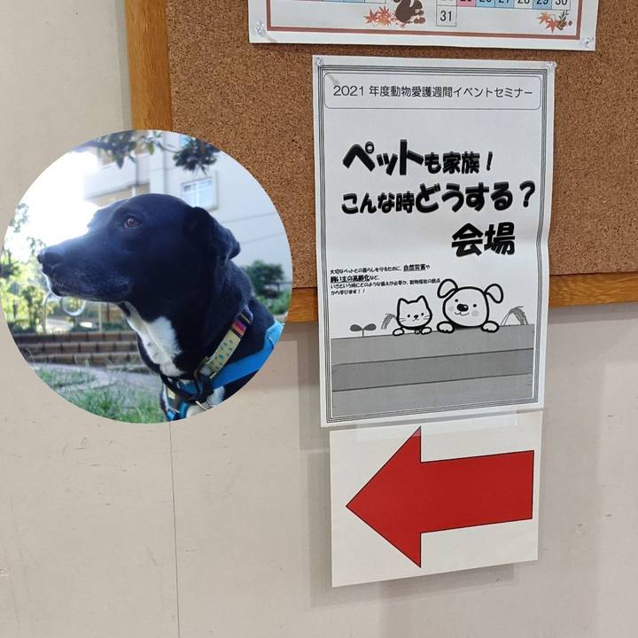 Ad657d21 ef5b 4b16 8e56 a32bc106853f 1632545842263