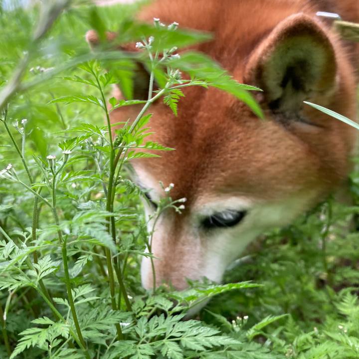 Ad65ba3f b8db 4bc0 8ddf 2d1ea118d044 1682423453686