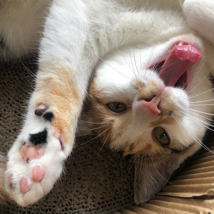 Ad65bfa3 a147 4d22 a3cb e29117d8e01a 1569651060829