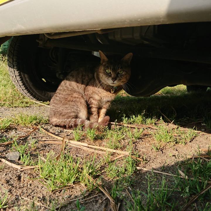 Ad65c172 71f3 416a 98a6 6a4f4922503f 1558662262563