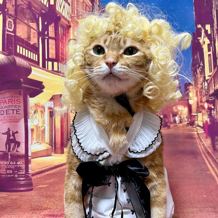 Ad65cb72 a785 4f16 a173 6ed9957850cb 1704843251818