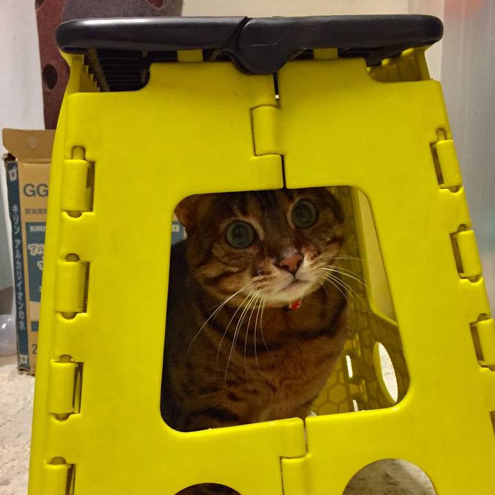 Ad65f5d4 18b2 4901 86ec fac78f04416f 1512342607952