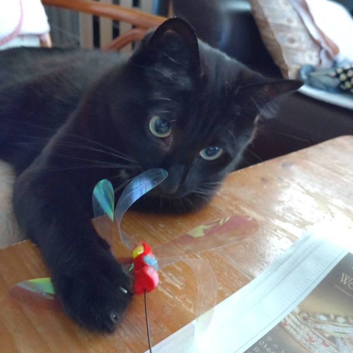 Ad660826 bf20 4d18 bd7a 32023ee85ce6 1632524493267