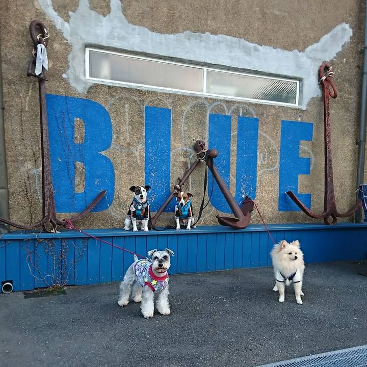 Ad660c33 641d 4891 99a0 4c1c404a522d 1578744685587