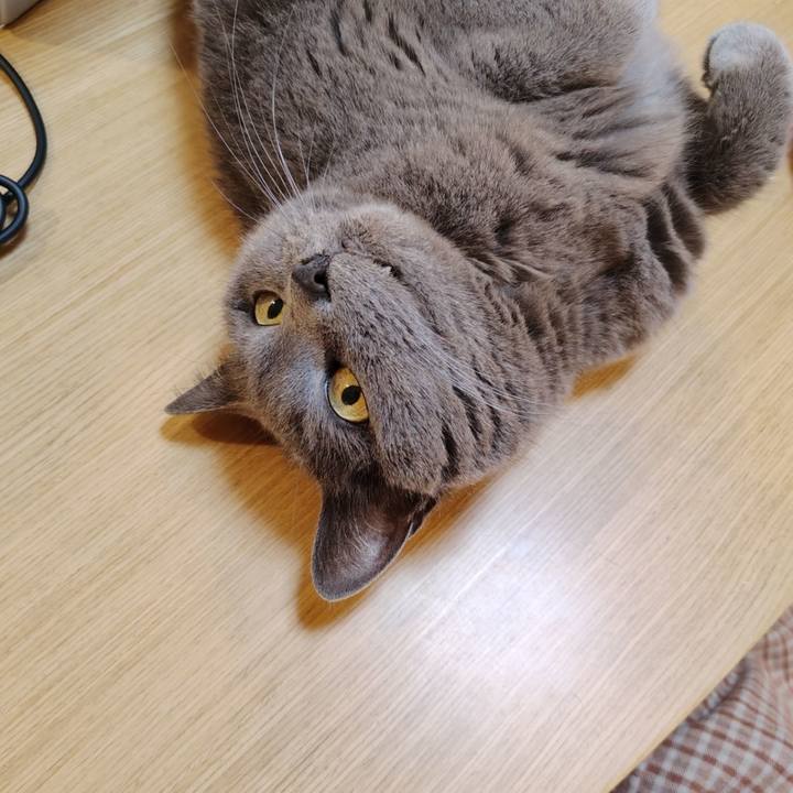 Ad661205 d0a6 4335 90cc 7dfe0ede956f 1775566765606