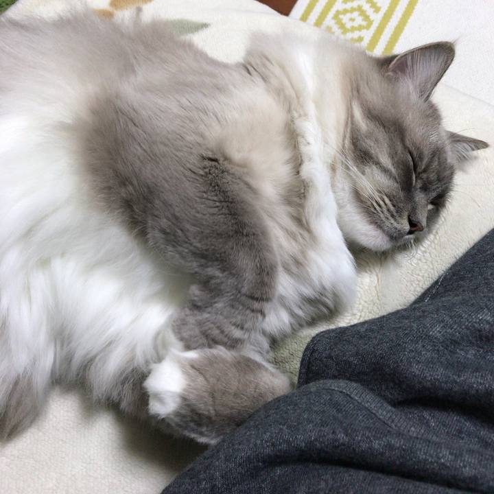 Ad663c0f 3075 4da3 a28d f0993512cdcc 1511008212732