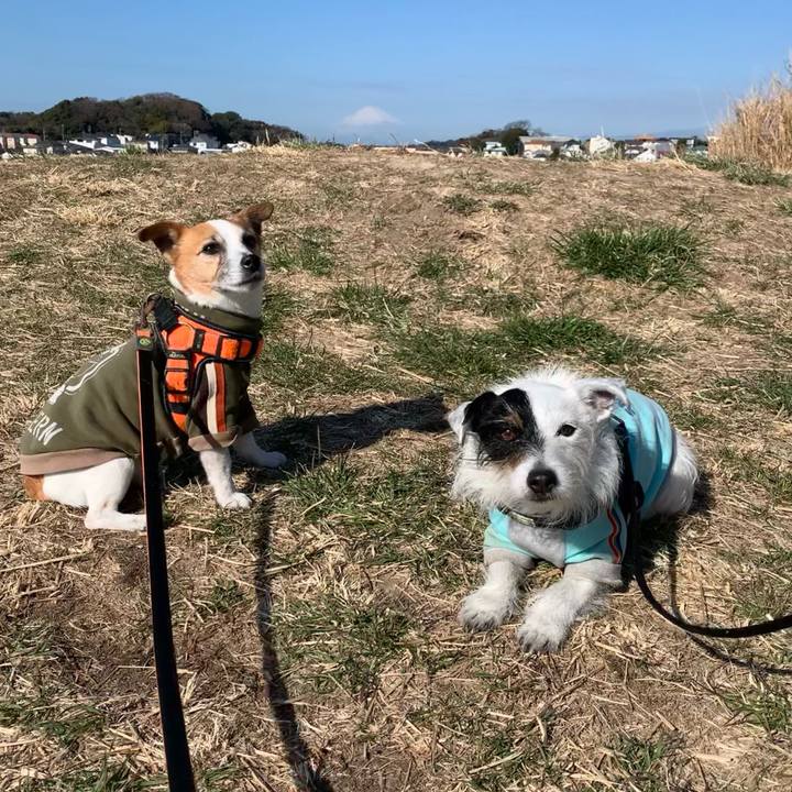 Ad66c665 8086 4f3e 974d 53bd5a757691 1646010118684