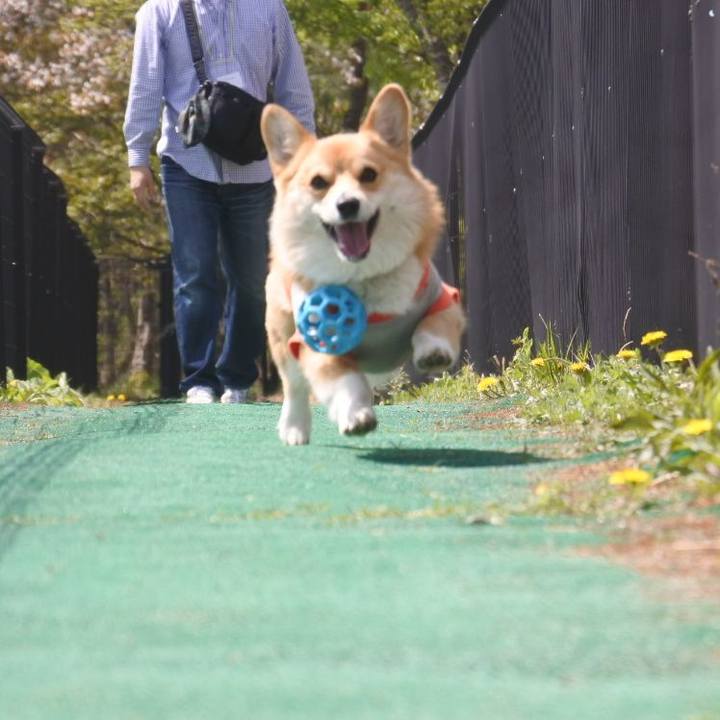 Ad672754 c818 48f7 afd5 dd52851bd6ec 1525484122780