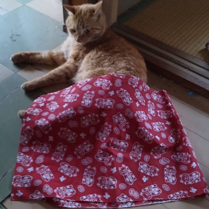 Ad6733d4 2142 4aed 9d91 0d2a78222763 1690719013291