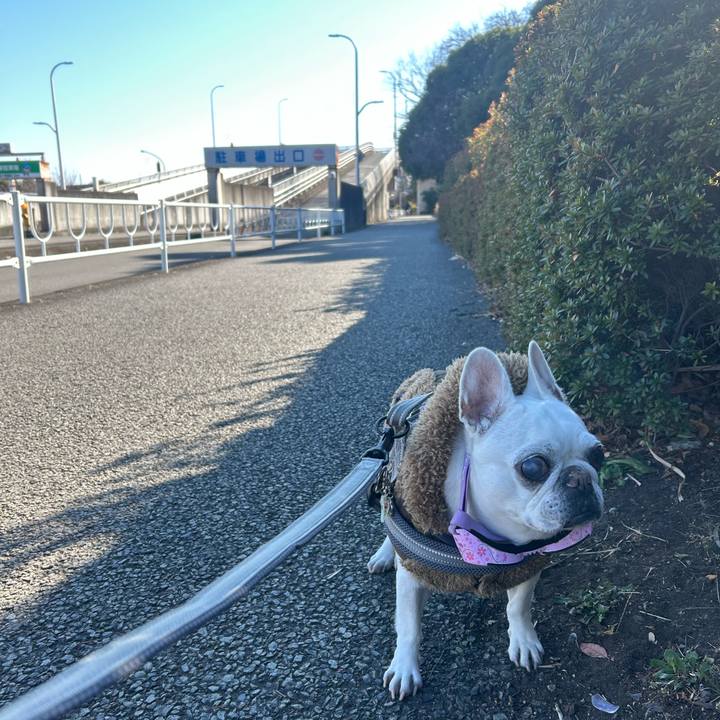 Ad674fac 6740 4bf5 b705 3f0cf0cf4855 1769246903095