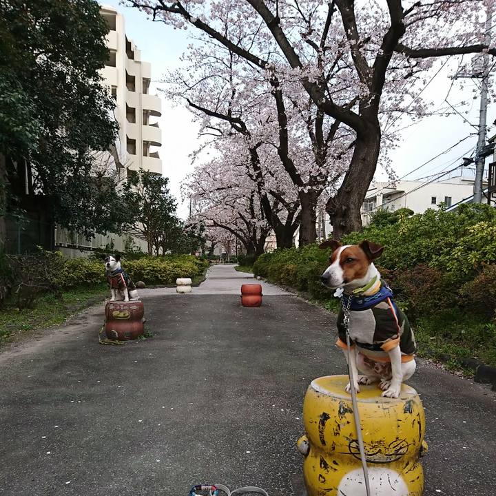 Ad675023 488e 461b 9305 f5914e58c170 1585174879960