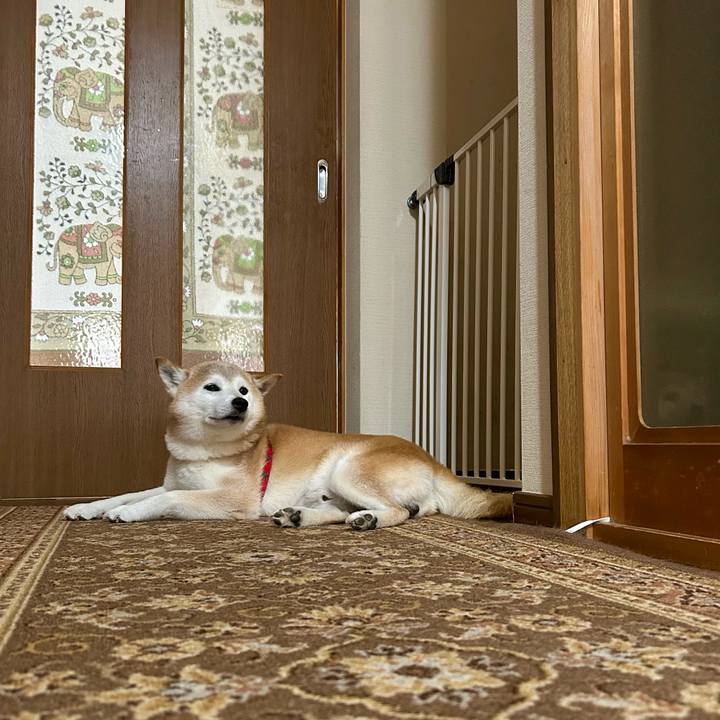 Ad678ba5 6813 441f b777 3f398fb88ba8 1754998408029