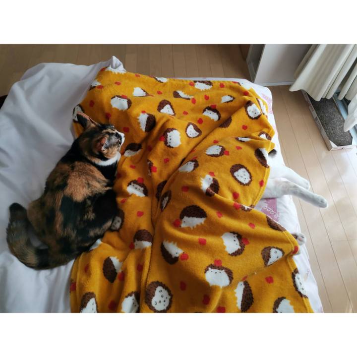 Ad679d69 163a 4a30 8ae9 61a503315d06 1666239999980