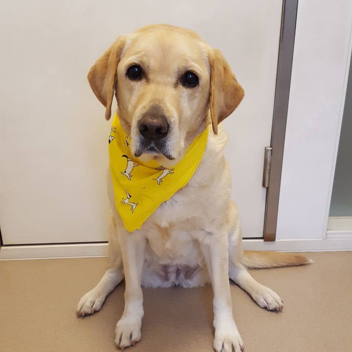 Ad67a0f4 1cd3 4f07 8e42 15f4216e18a8 1580694620553