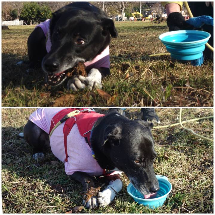 Ad67aec8 91e9 4e72 8e14 bb778e9d68f4 1670811347762