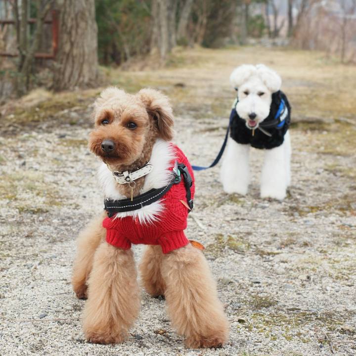 Ad67d636 0376 4c77 ba7e 8aa46b777459 1514175024538