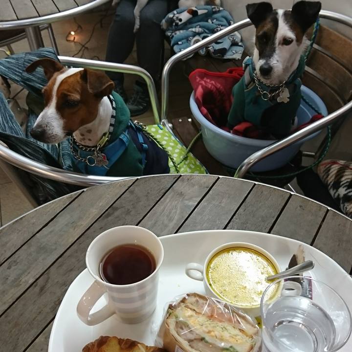 Ad6813af 21b1 46ef 8287 a2551898a861 1607574451926